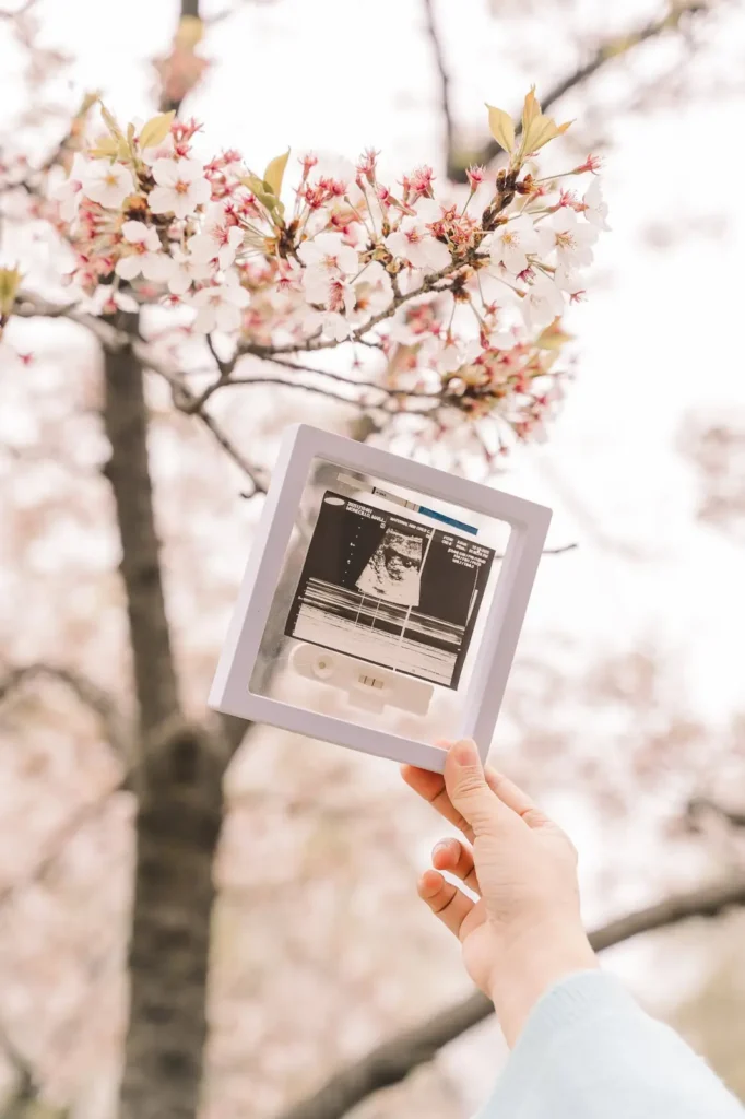 Ultrasound photo held beneath cherry blossoms during a Seoul maternity photoshoot
