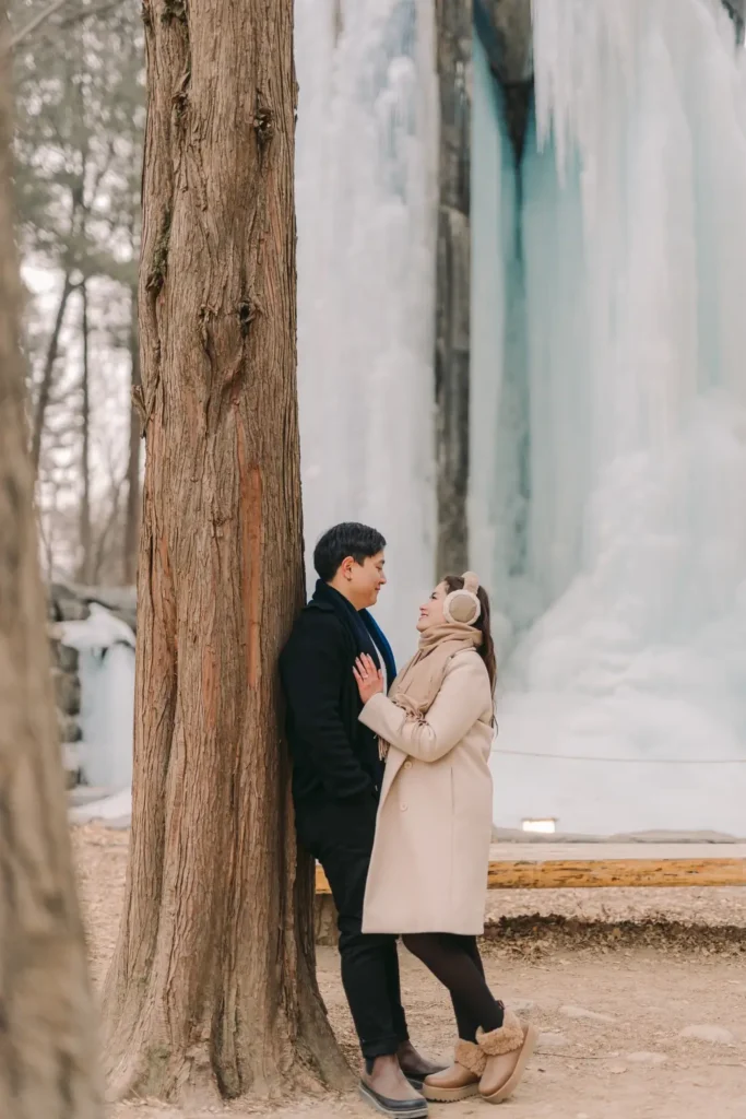 Engaged couple embracing beside a tree during their winter photoshoot in nami island