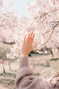 Engagement ring photographed beneath pink cherry blossoms in Seoul