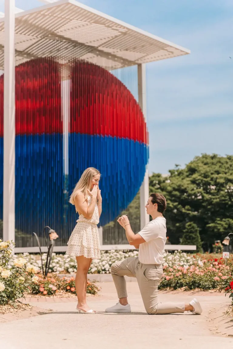 Sequence of a surprise outdoor marriage proposal captured by a Seoul photographer