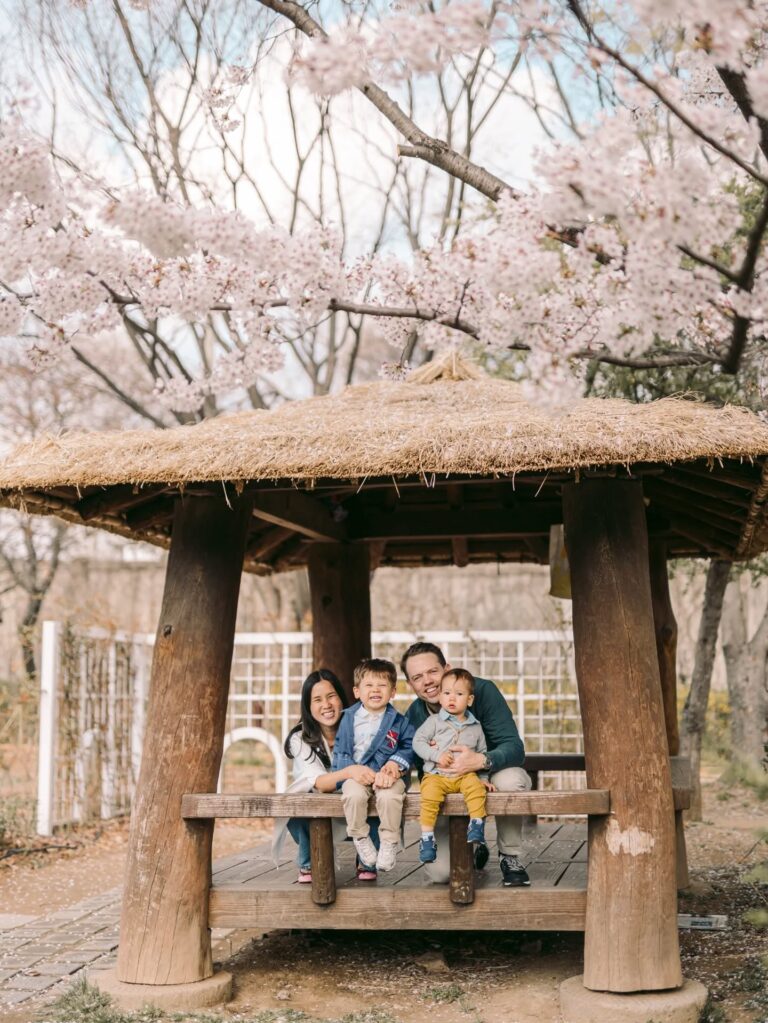 Family sitting beneath blooming cherry blossom trees during a spring photoshoot in Seoul