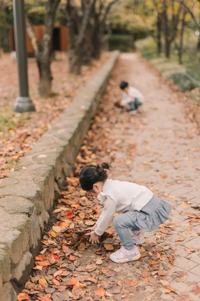 When Is the Best Time to See Autumn Foliage in Korea? (2026) photo 0733